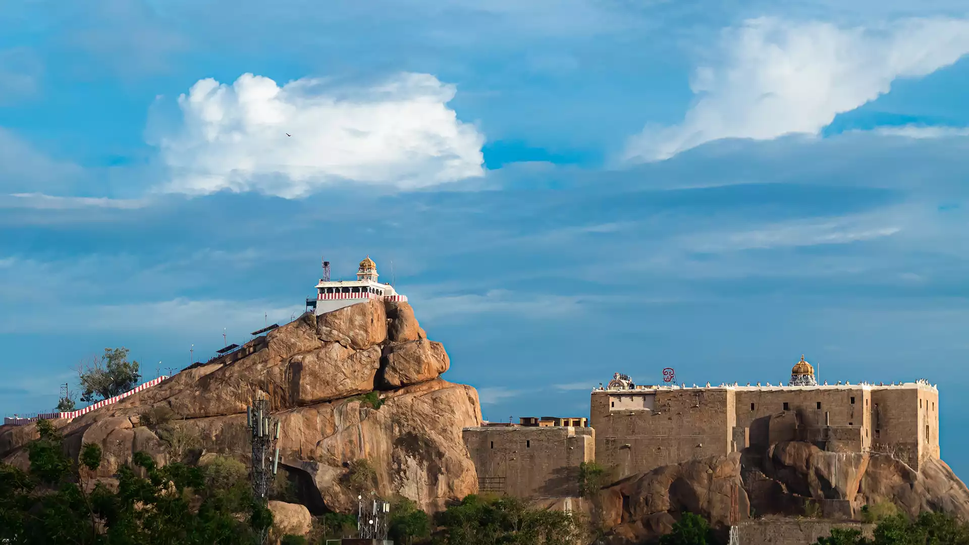 Tricy Tours & Travels | Car Booking