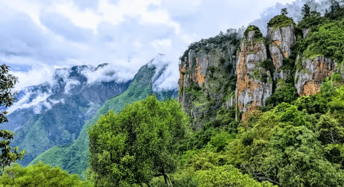 kodai 2